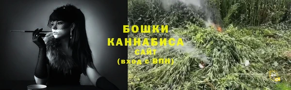 сатива Весьегонск