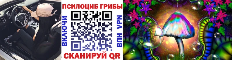 Псилоцибиновые грибы мухоморы  наркотики  Бабушкин 